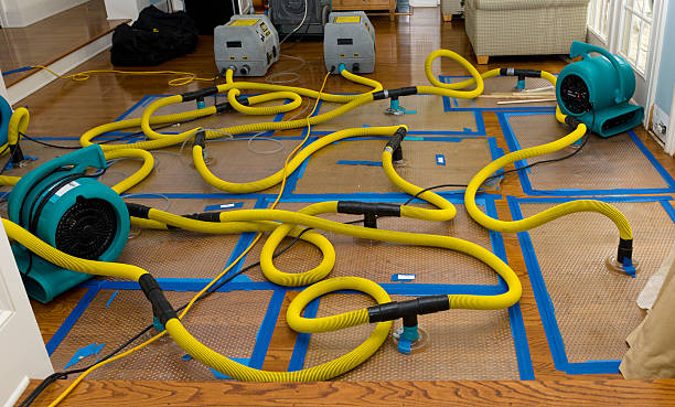 Professional Basement Flood Cleanup technician working in Homedale, ID